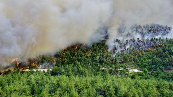 Alevler Doğayı, Dumanı Ciğerlerimizi Yakıyor