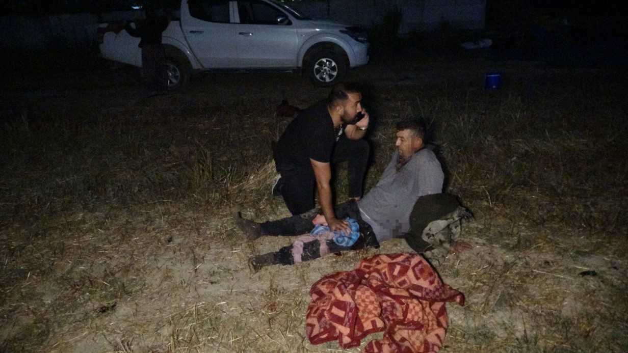 Fıstık bahçesinde uyuyan çiftçiye aslan saldırdı!