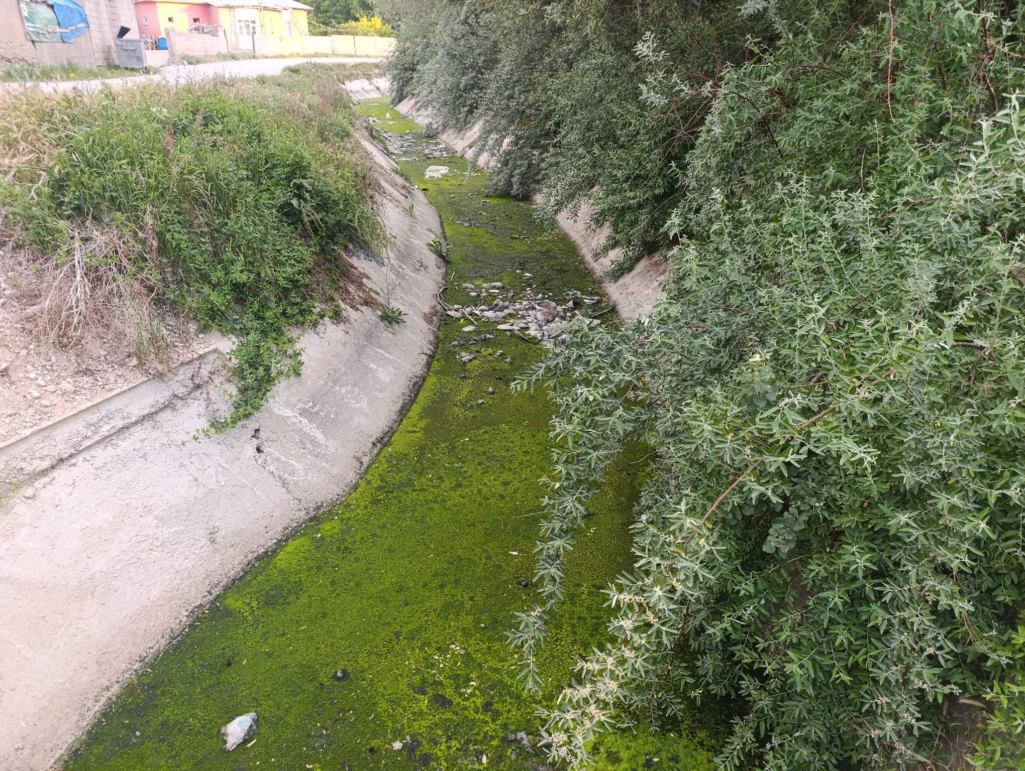 Öğretmenlerden Van’ın Tarihi Şamran Kanalı İçin Temizlik Seferberliği Çağrısı