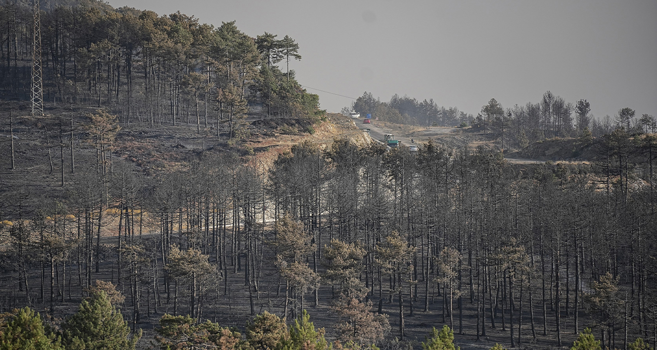 Bursa’nın Dağlarında Duman Hakim: İlçeler Grileşti