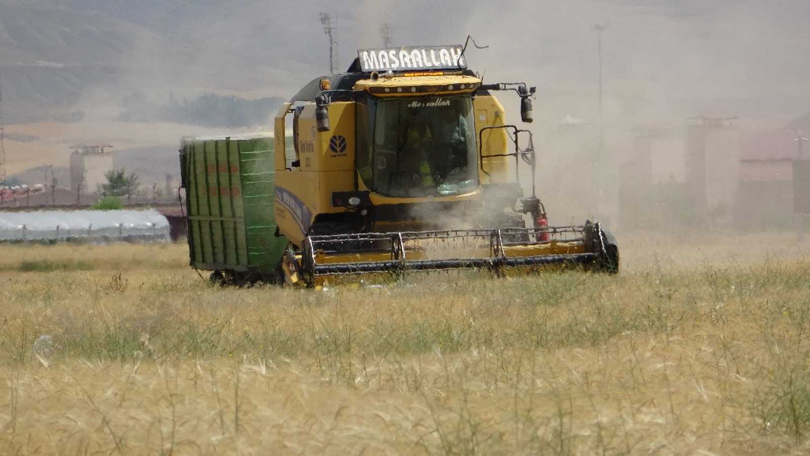 Van’da kuraklık buğday ve arpa üretimini olumsuz etkiledi