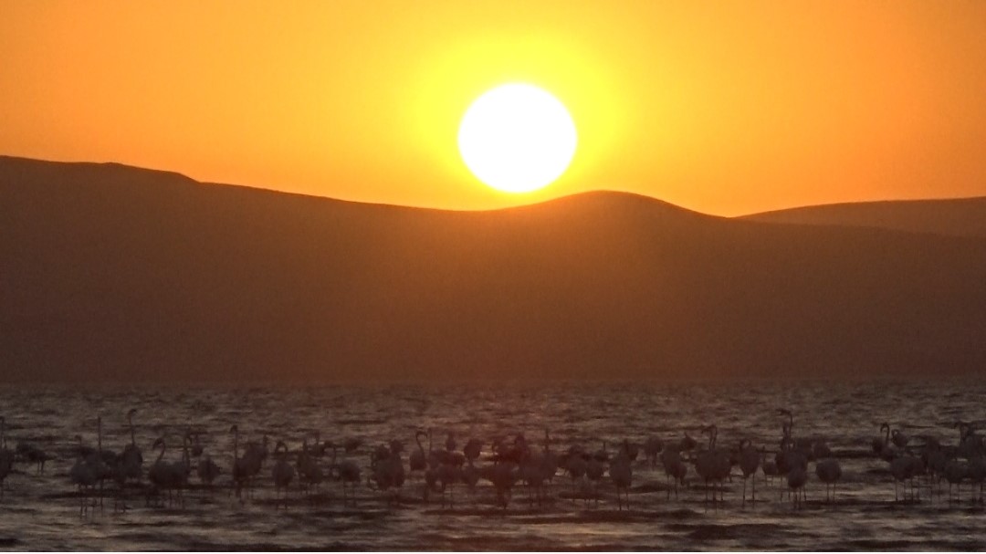 Erçek Gölü’nde gün batımı büyüledi