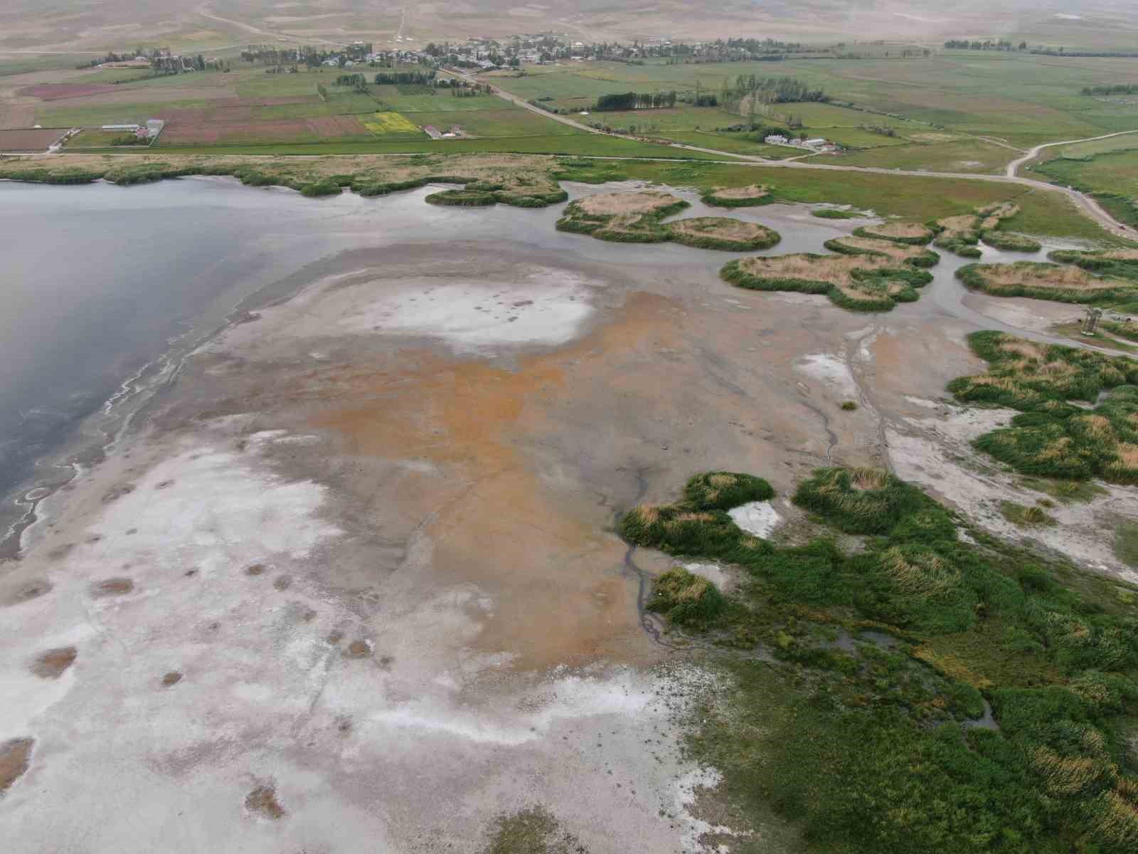 Erçek Gölü’nü kuraklık vurdu: Uzmanlar uyarıyor