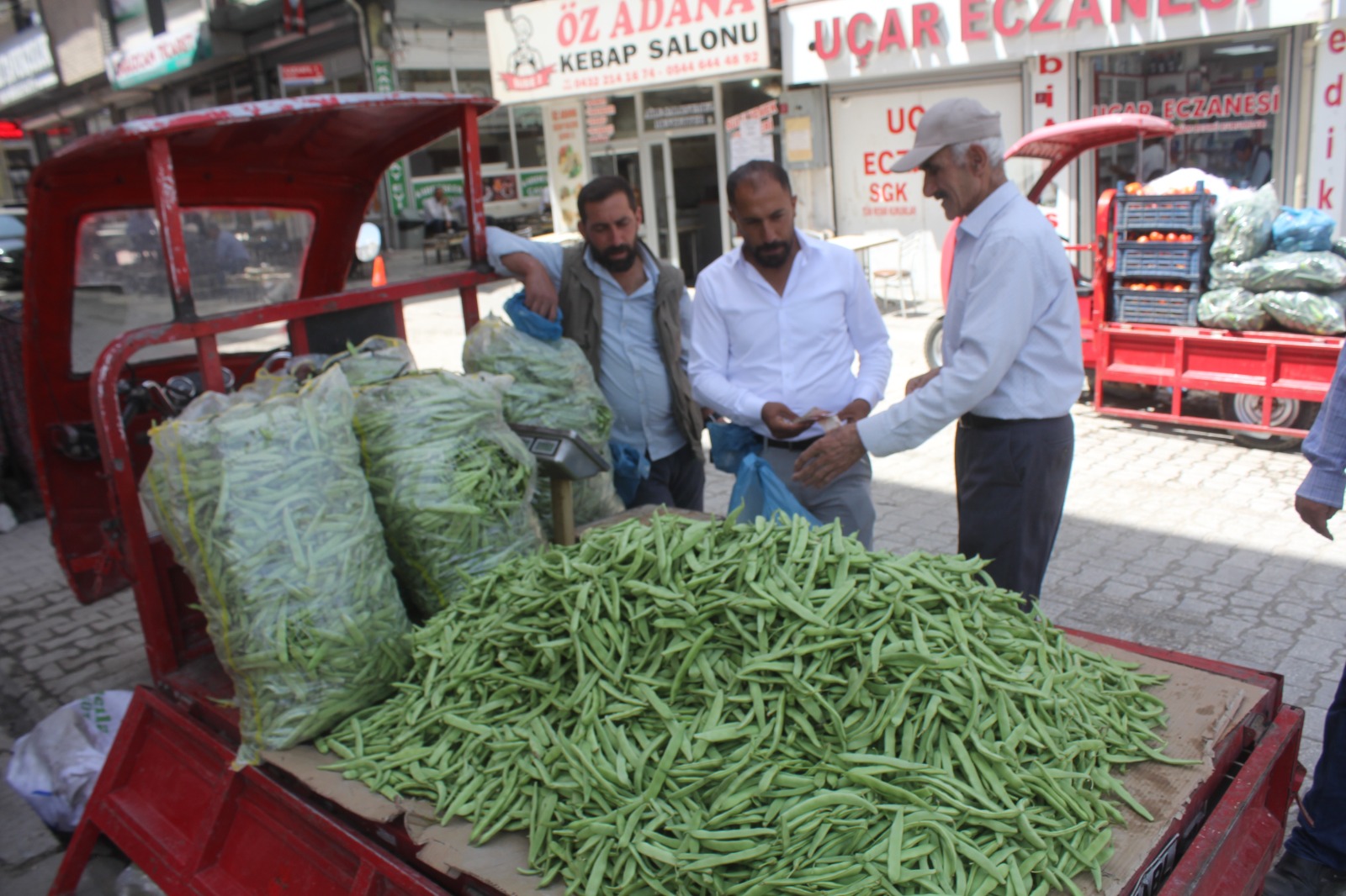Van’da Gevaş Fasulyesi Sezonu: Soran Çok, Alan Yok