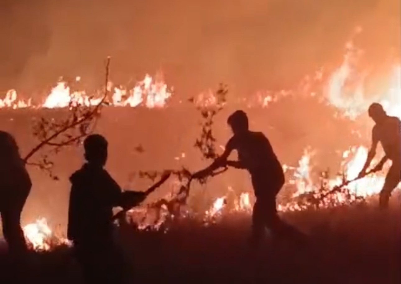 Hakkari-Van il sınırında korkutan yangın
