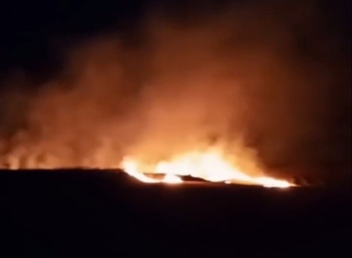 İki mahallede çıkan yangında 20 dönüm buğday tarlası kül oldu