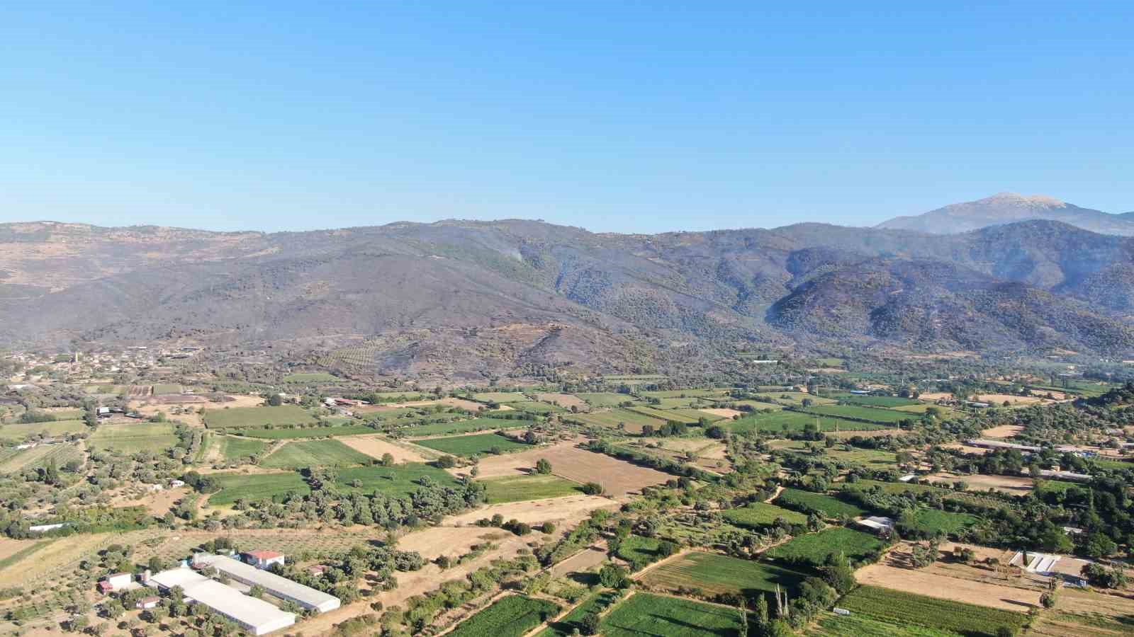 İzmir’in Ödemiş ilçesinde 3 gündür süren yangın dağları siyaha bürüdü