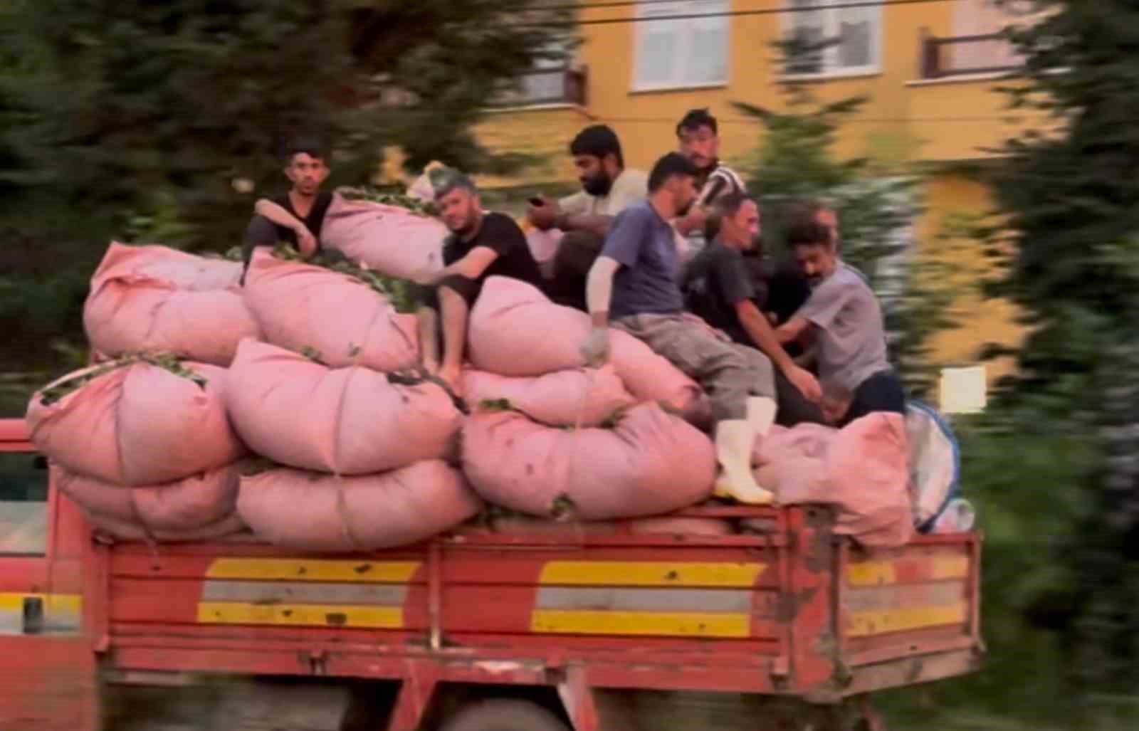 Ne Emniyet Ne Koltuk: Rize’de Kamyon Kasasında 8 Kişilik Tehlikeli Yolculuk