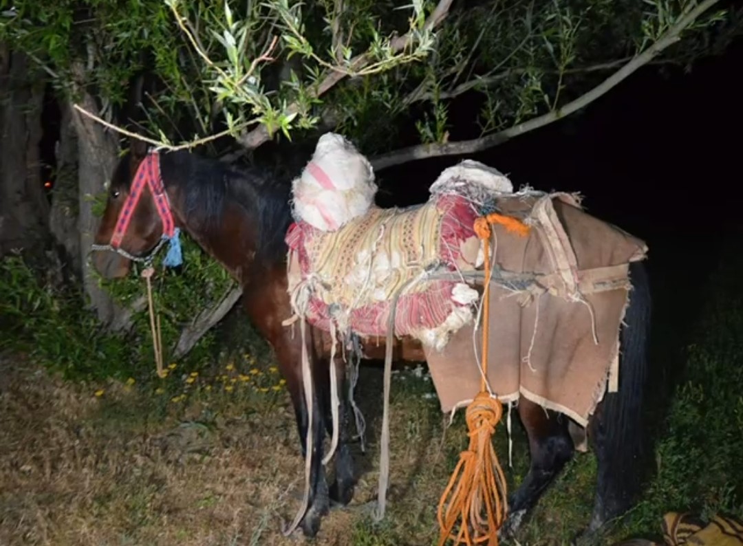 Van’da Sınırda Nefes Kesen Takip: 97 Kilo Uyuşturucu Ele Geçirildi