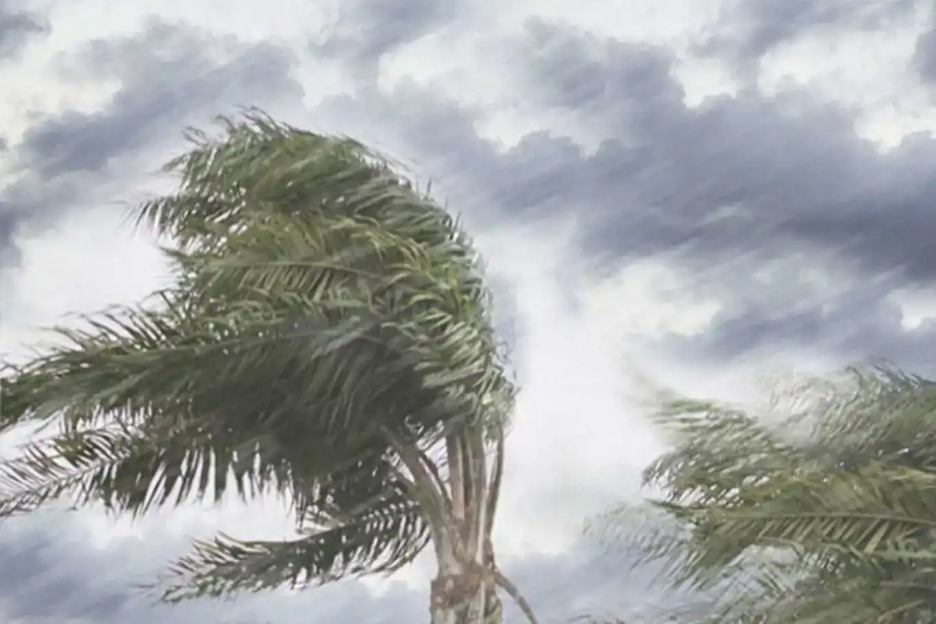 Meteorolojiden Van için kuvvetli rüzgar uyarısı!