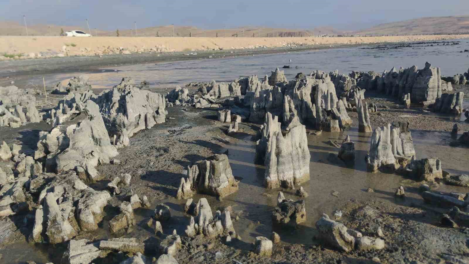 Van Gölü’nde Tehlikeli Gidişat: Su Seviyesi Düşmeye Devam Ediyor