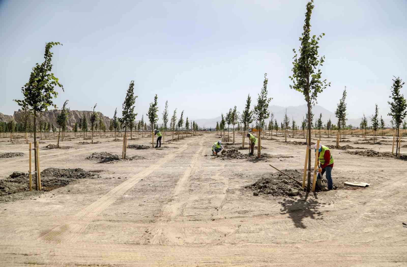 Van Ihlamur Parkı kente renk katacak