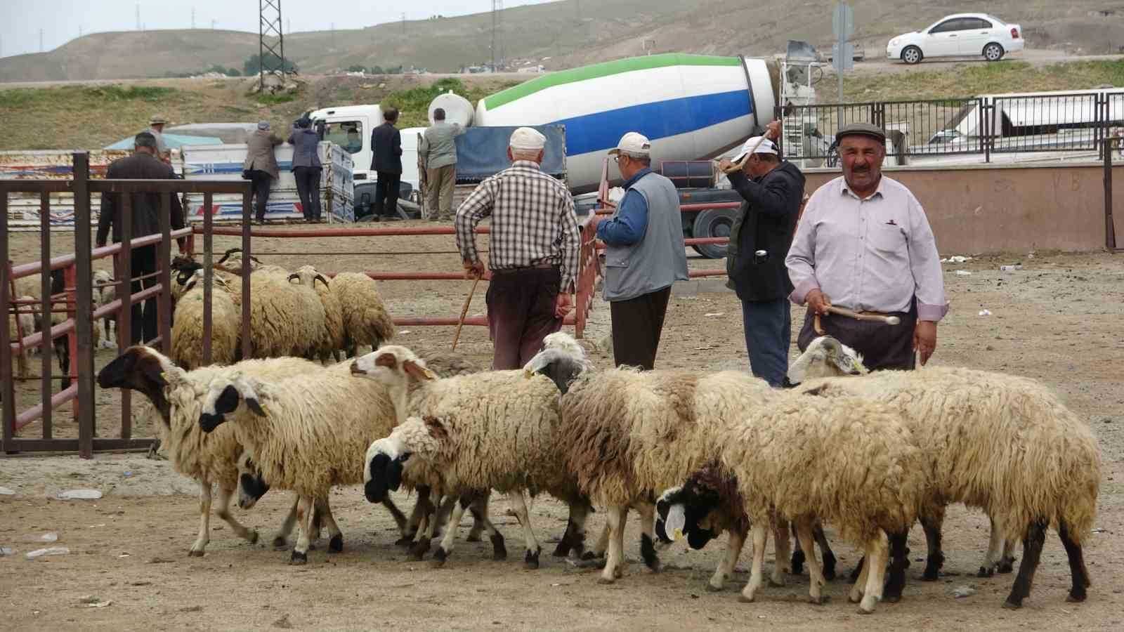 Van’da alarm! Canlı hayvan pazarı kapatıldı: İşte nedeni…
