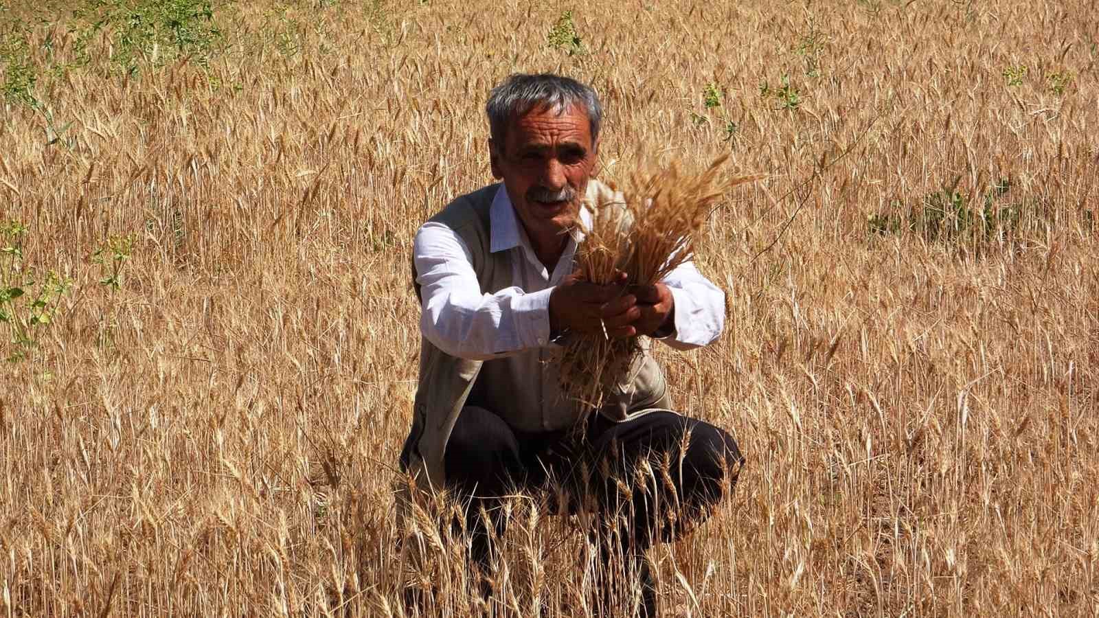 Vanlı çiftçiler gölet istiyor