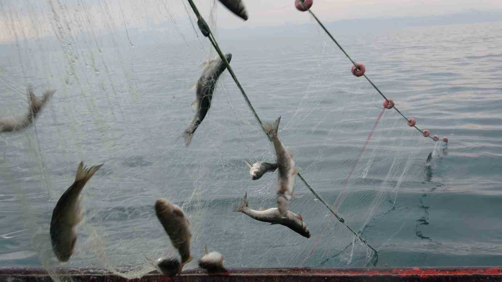 Van Gölü’nde Av Zamanı: Yasak Sona Erdi