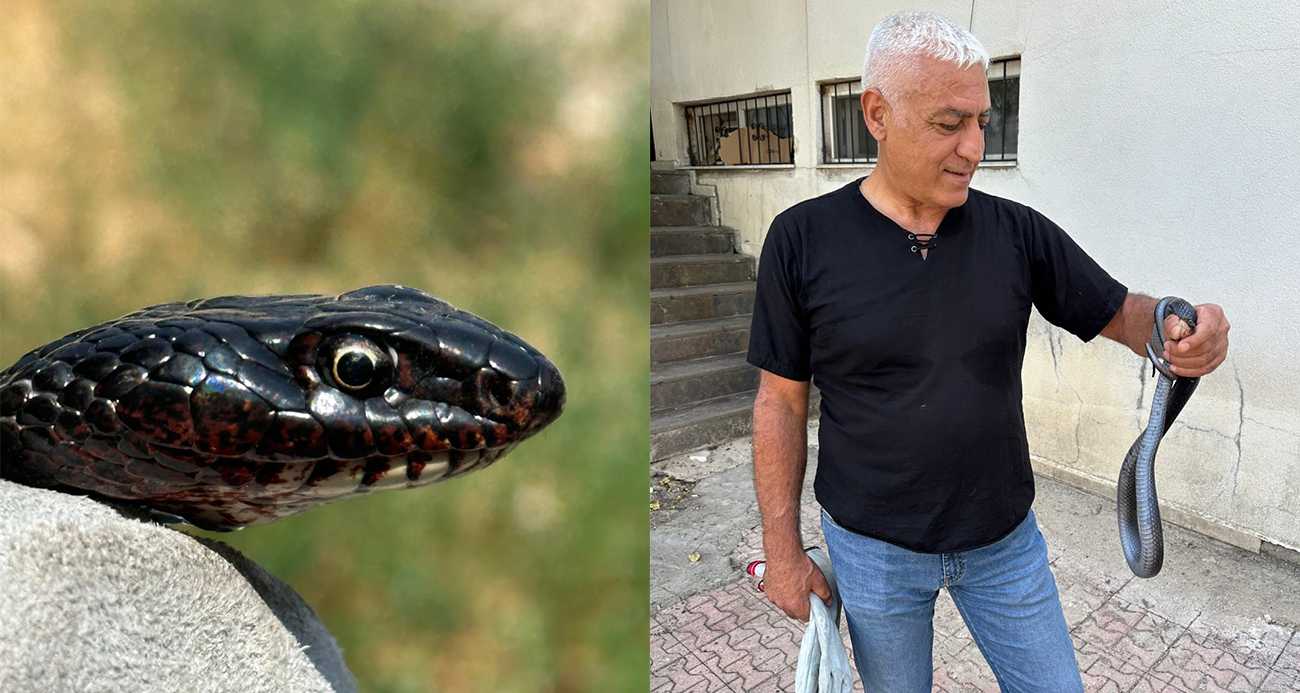 Tuvalete giren karayılan paniğe neden oldu