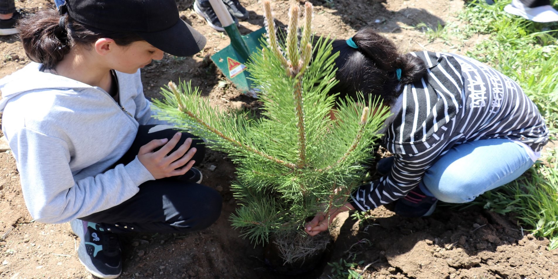 2025-2026 eğitim öğretim yılı ne zaman başlıyor?
