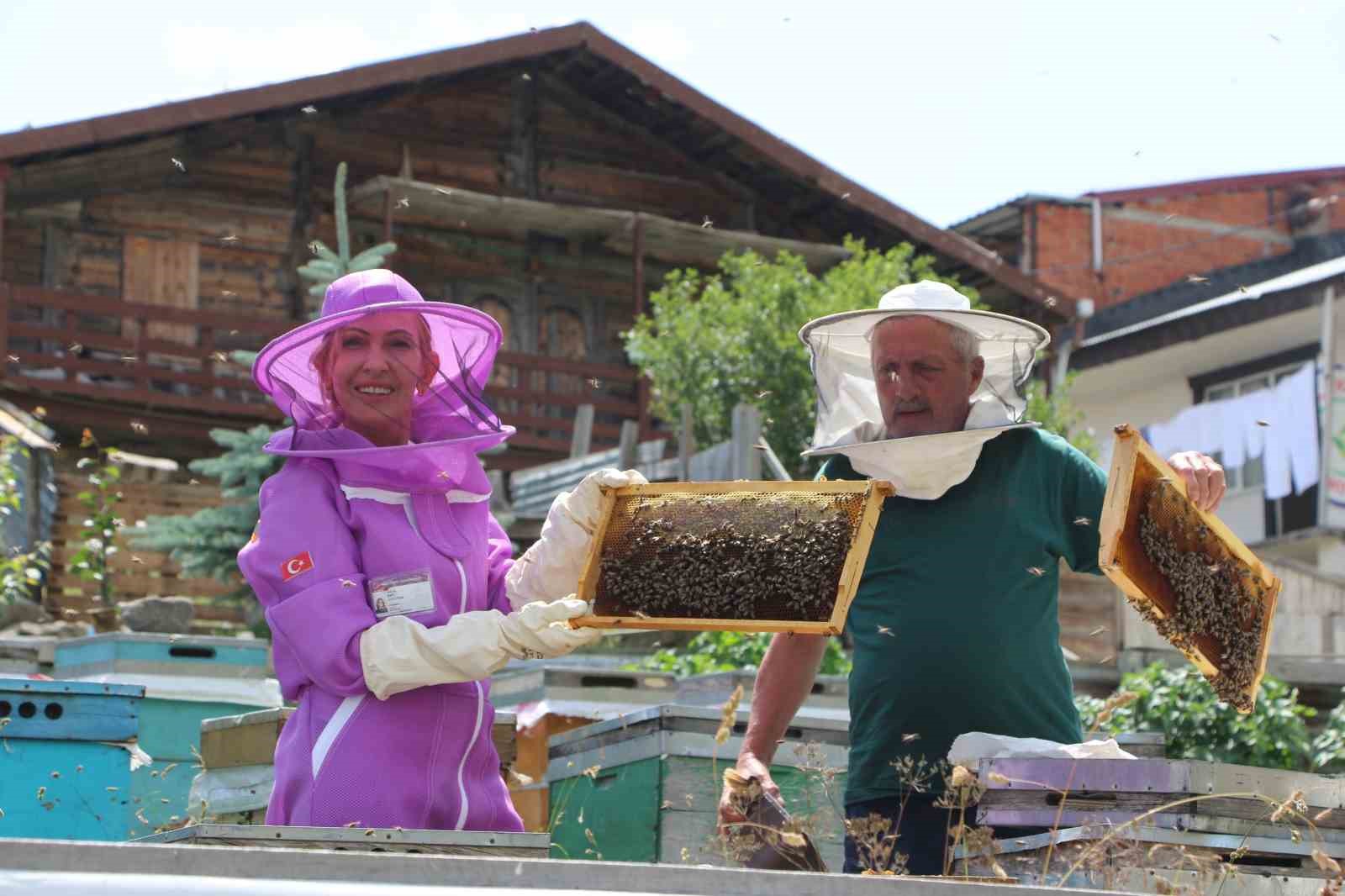 Anzer balında referans kovanlarda sağım gerçekleşti