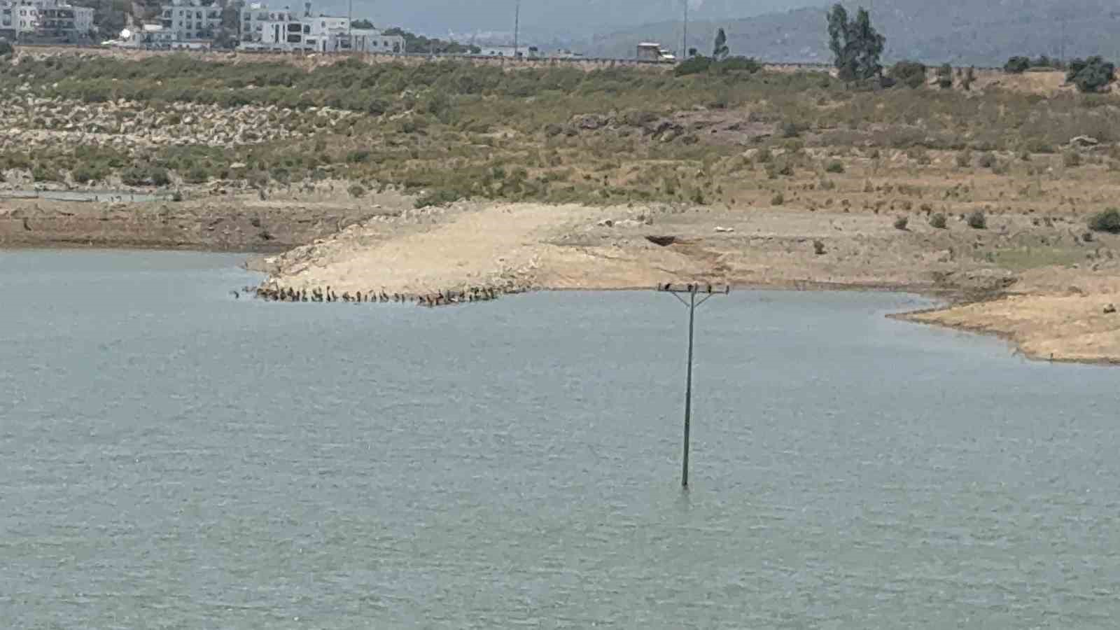 Bodrum’da Su Seviyeleri Düşüyor: Barajlar Kritik Noktada