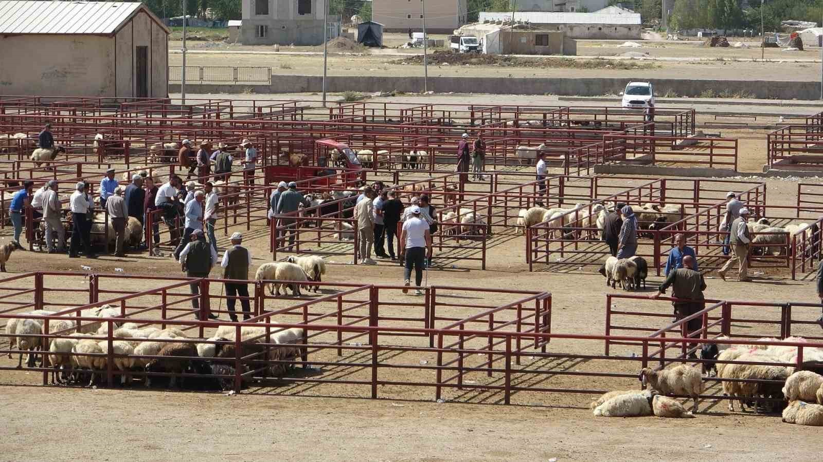 24 İlde Hayvan Pazarları Yeniden Açıldı