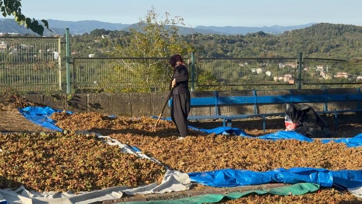“Üreticinin emeğini yok saymayın”