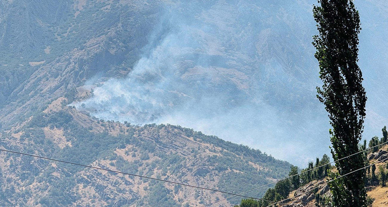 Şırnak’ta Ormanlık Alanda Yangın: Kontrol Altına Alınamıyor