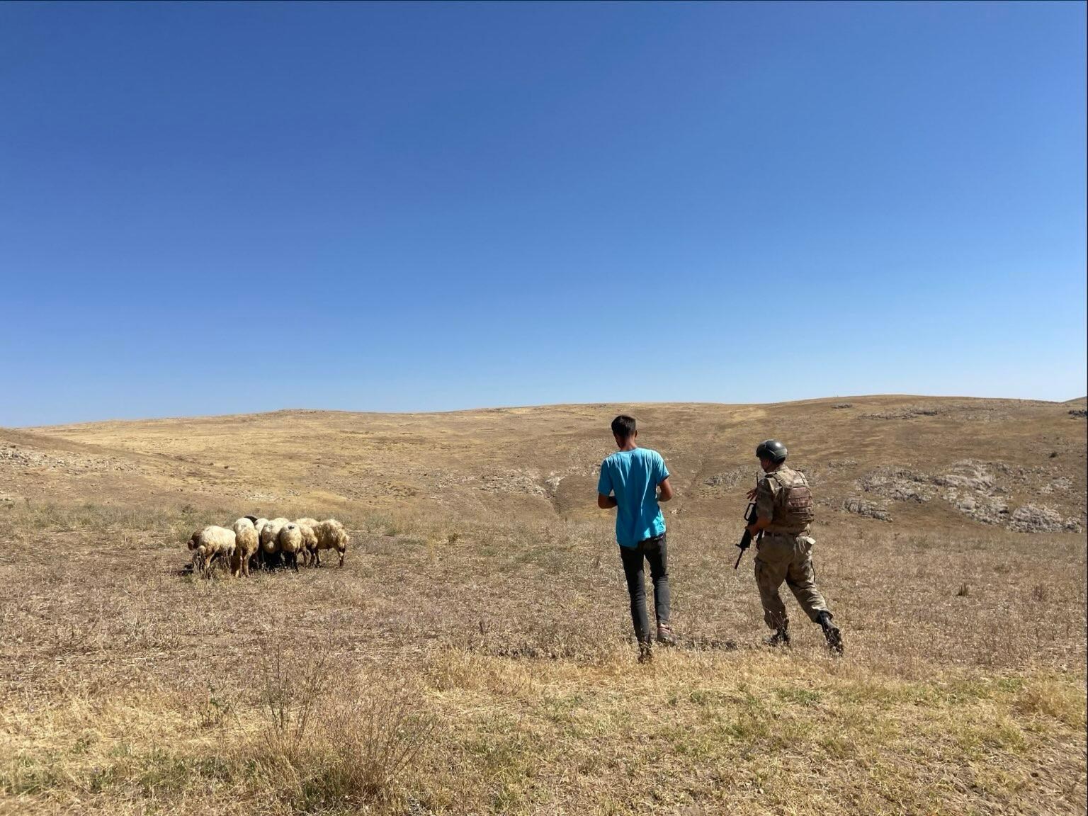 Van’da kaybolan 26 koyun jandarma ekiplerince bulundu