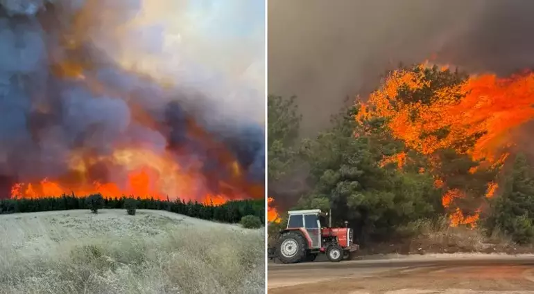 Çanakkale Orman Yangınında Son Durum
