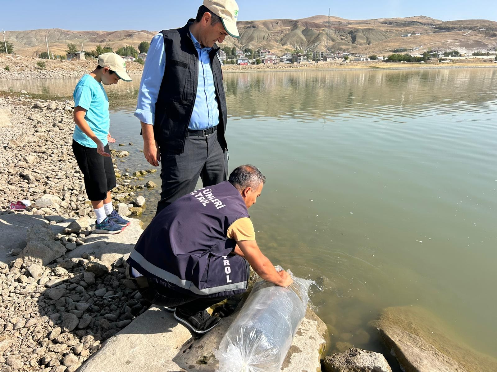 Van’daki göl ve göletlere 450 bin yavru sazan bırakıldı