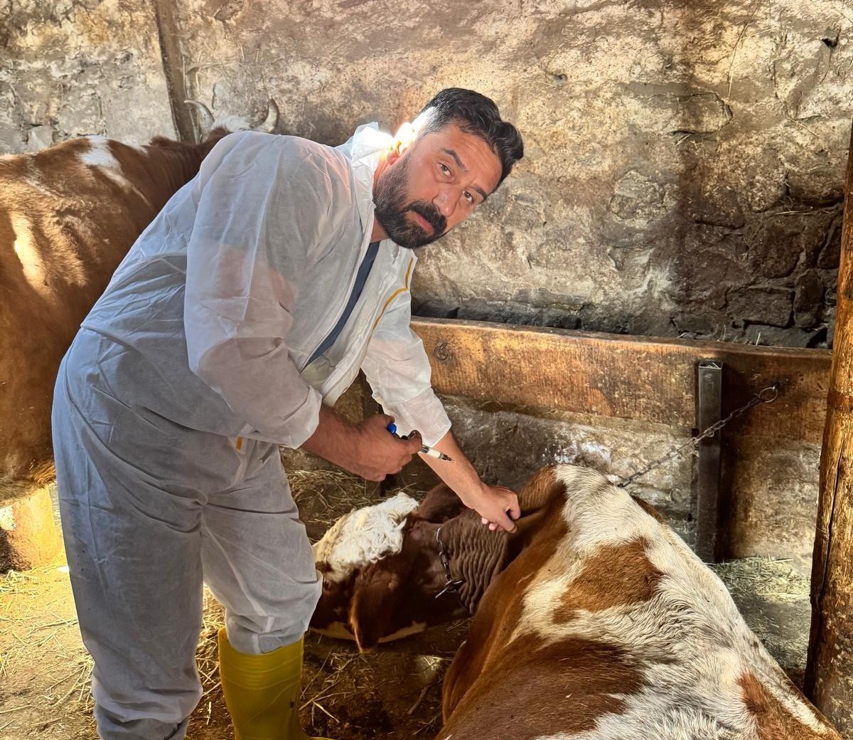 Van’dan Kars’a aşılama desteği