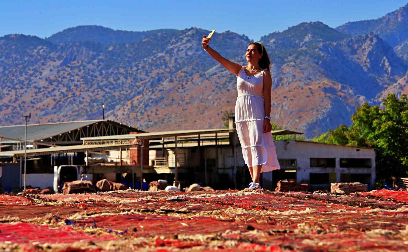 Antalya’da buğday tarlalarında halı hasatı