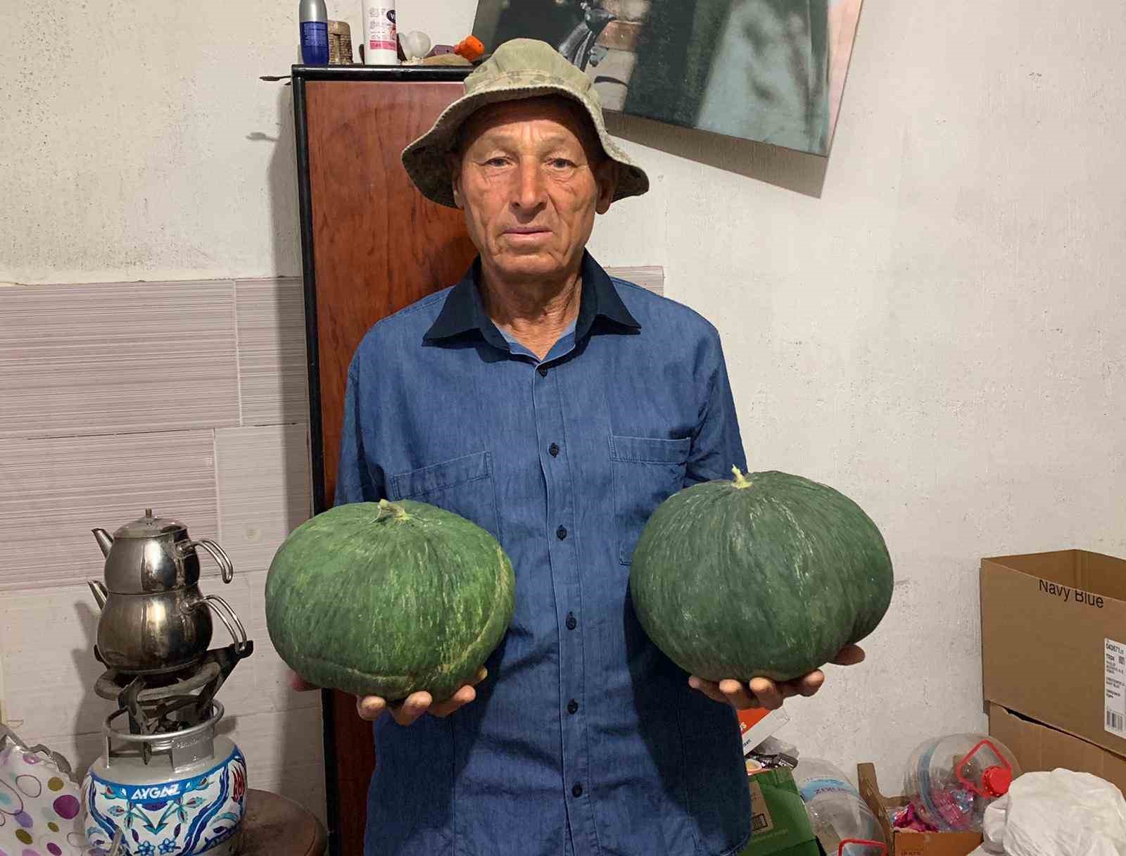 Ata Tohumu Toprakla Buluştu: Çavuşlar Kavunu Yeniden Yetiştirildi