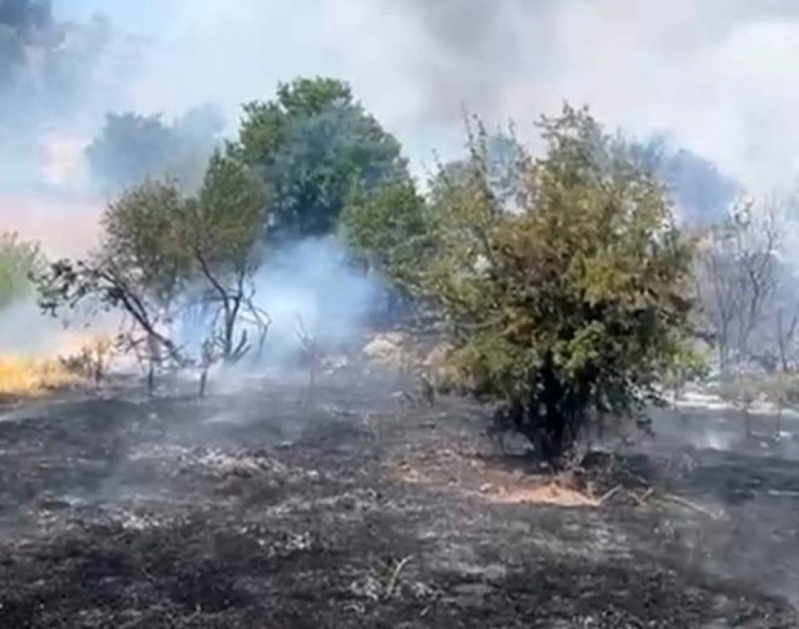 Malatya’da Ormanlık Alanda Yangın