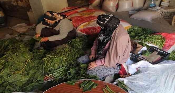 Bayburtlu kadınların kış hazırlığı