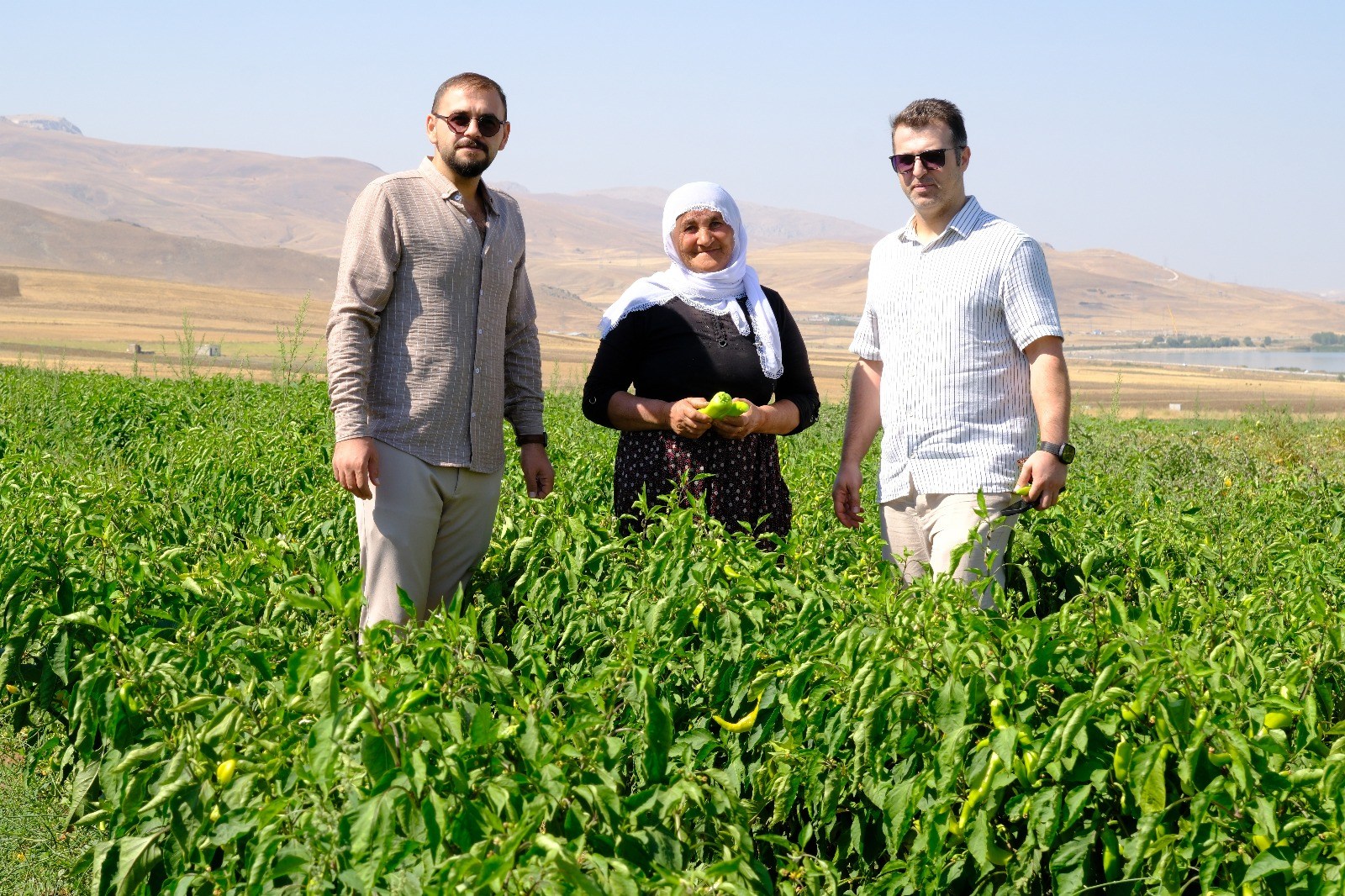 Van’da Çiftçilere Destek: Tarım Güçleniyor