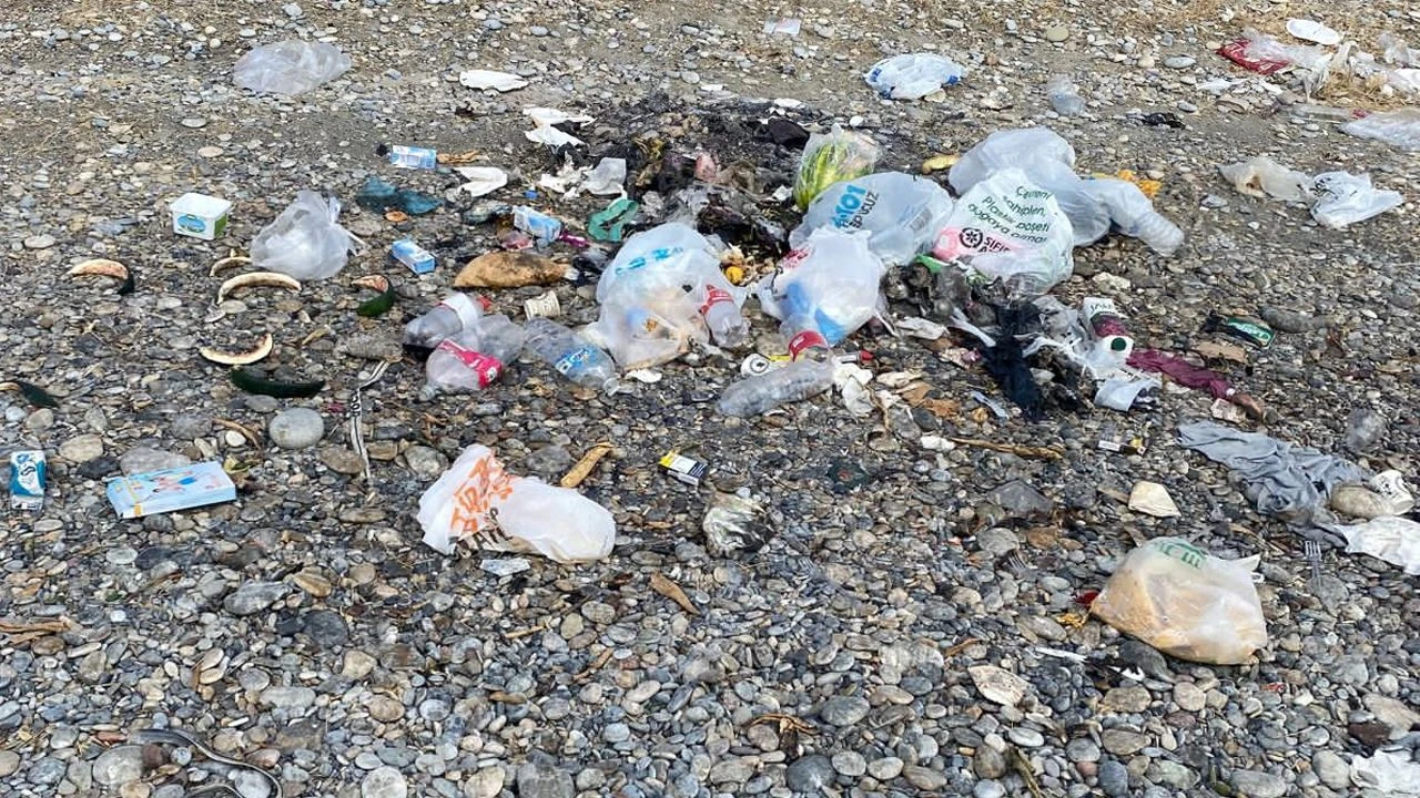 Van Gölü’nde tehlike çanları çalıyor