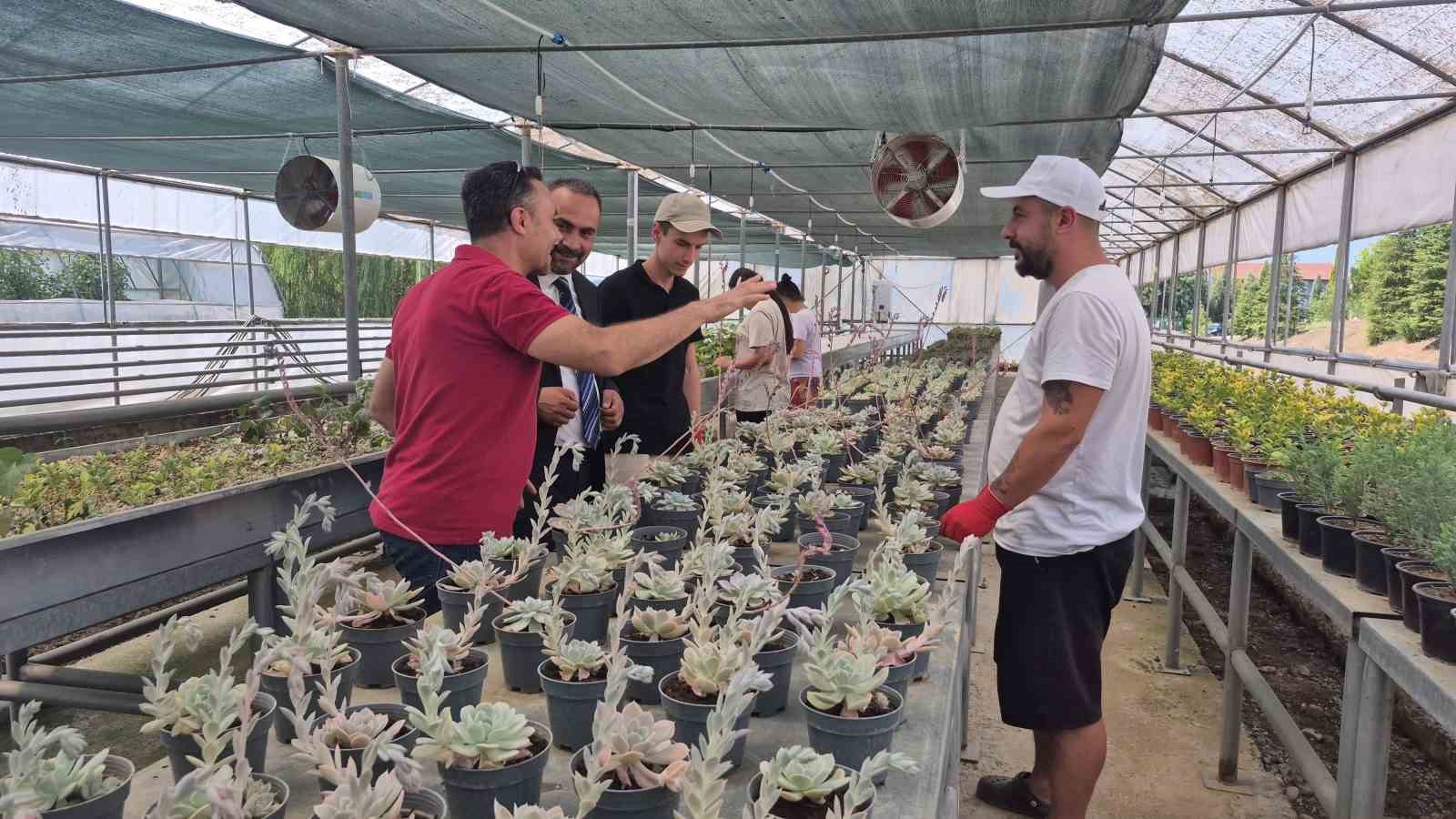 Doğal afetlere karşı akıllı sera çözümü