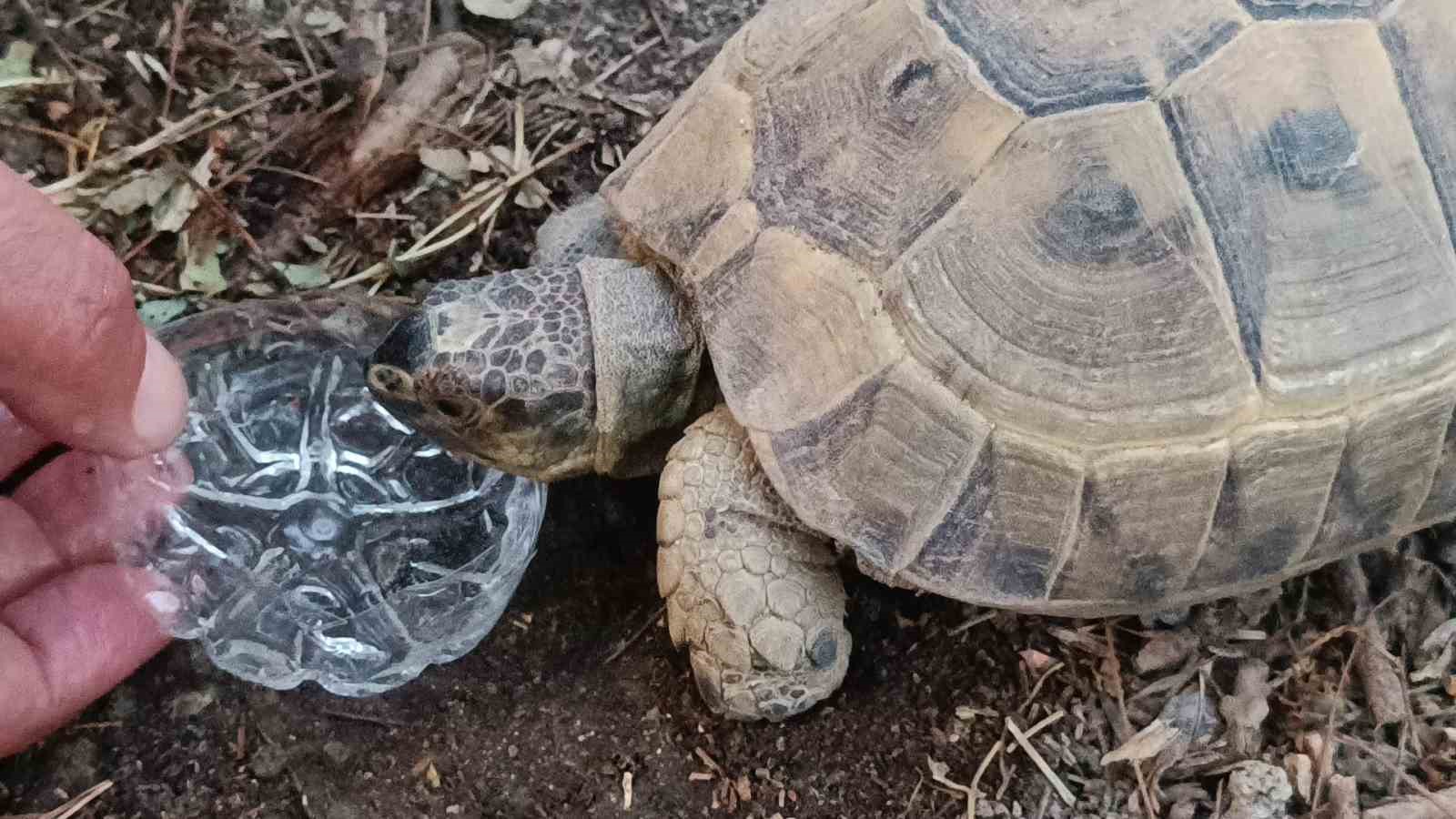 Duyarlı vatandaştan yüreklere dokunan hareket