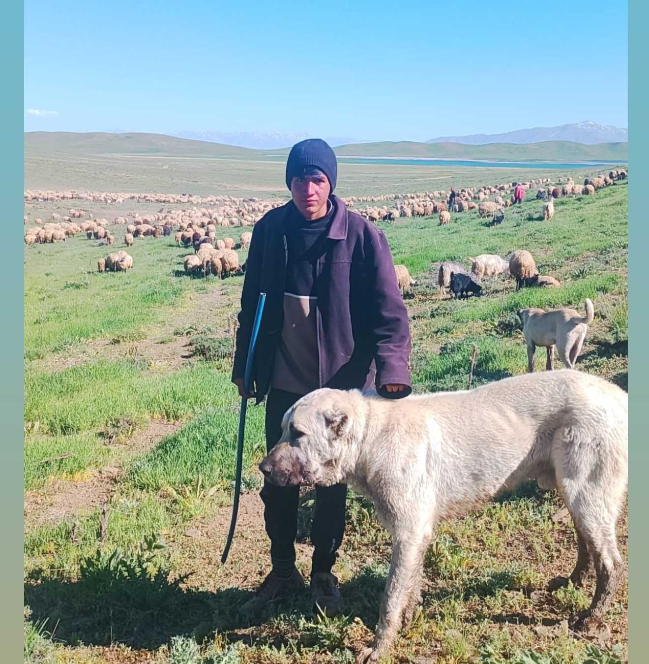 Van’da Afgan Dramı: 3 Kuruşa çalıştırılıp, işkenceye uğradı