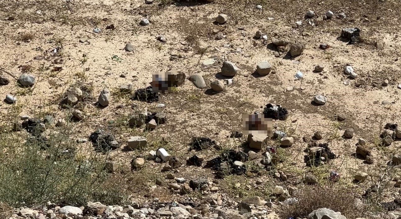 Hakkari’de mezarlık yanına bırakılan bira şişeleri tepki topladı