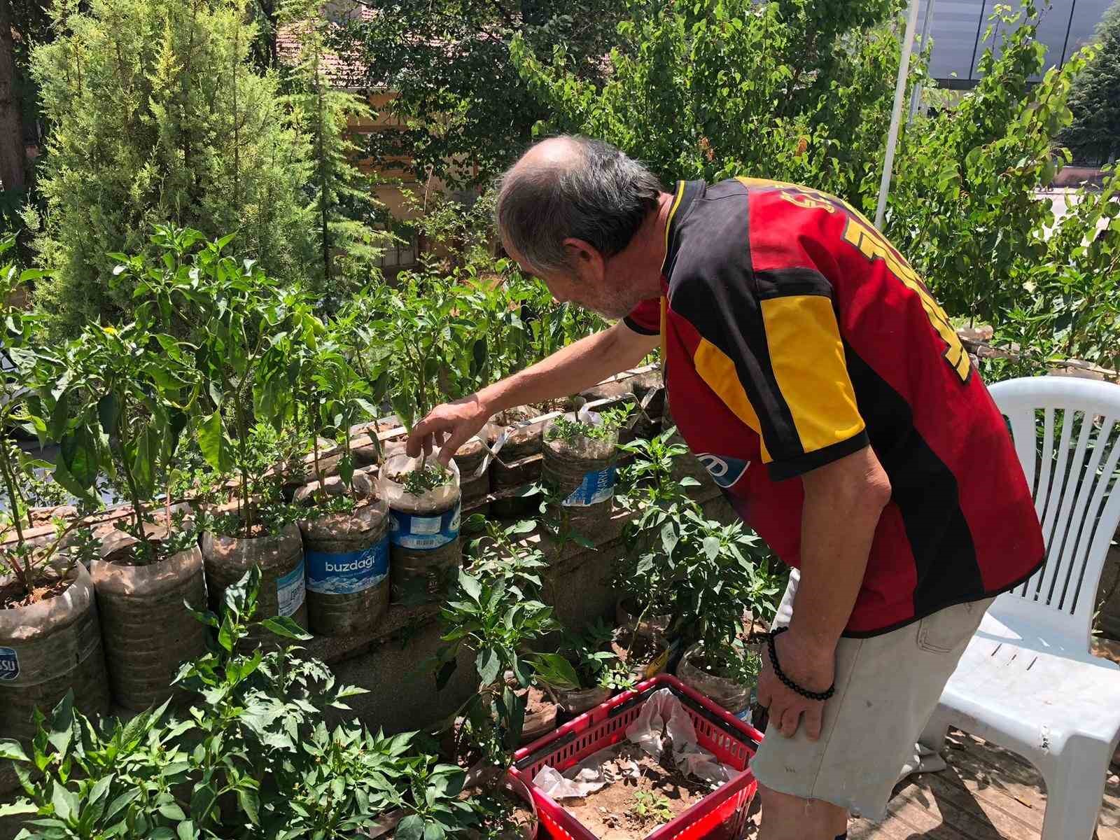 İş yerinin balkonunu bahçeye çevirdi