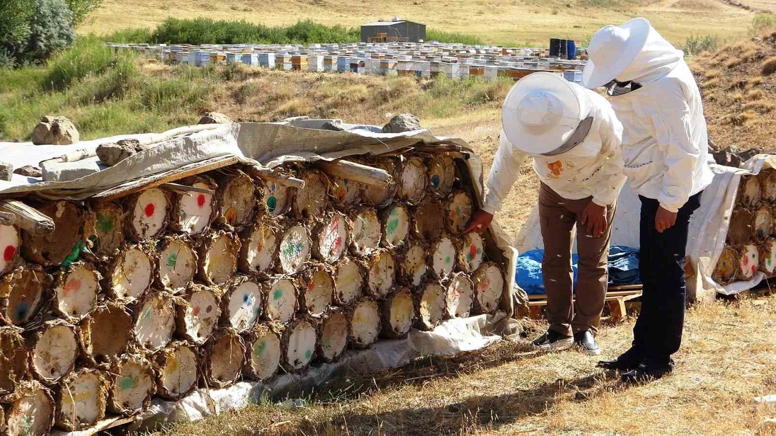 Küresel Isınma Arıcılığı Tehdit Ediyor