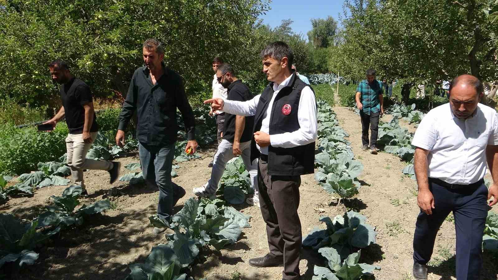 Modern Basınçlı Sulama Sistemiyle İşçilik ve Verimde Büyük Tasarruf