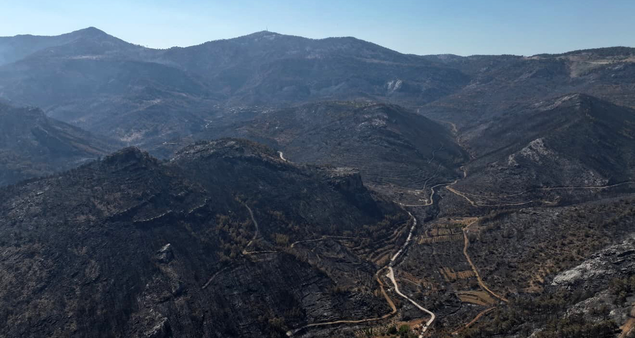 Orman Yangını Sonrası Korkunç Tablo: 15 Bin Dönüm Arazi Yok Oldu