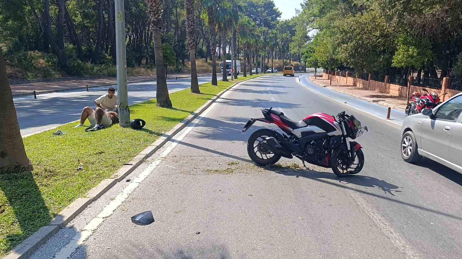 Palmiye ağacına çarpan motosikletli sürücü yaralandı