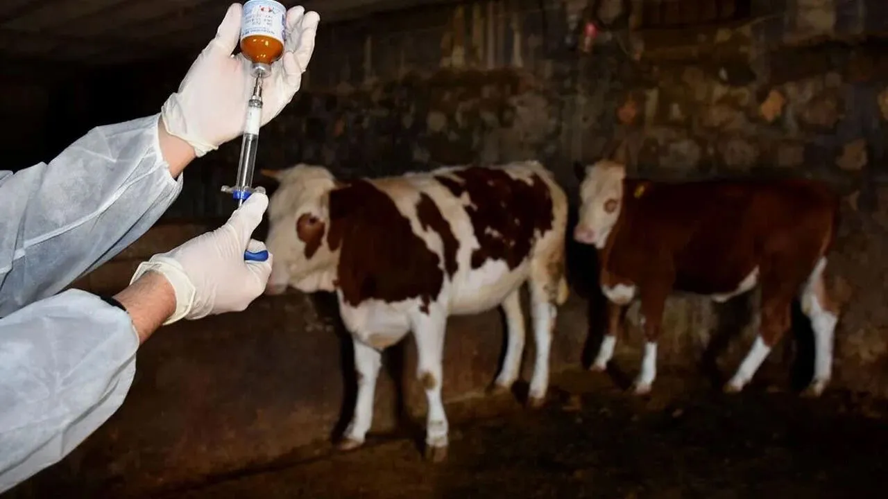 Başkan İlhan: “Çiftçiler Büyük Mağduriyet Yaşıyor”