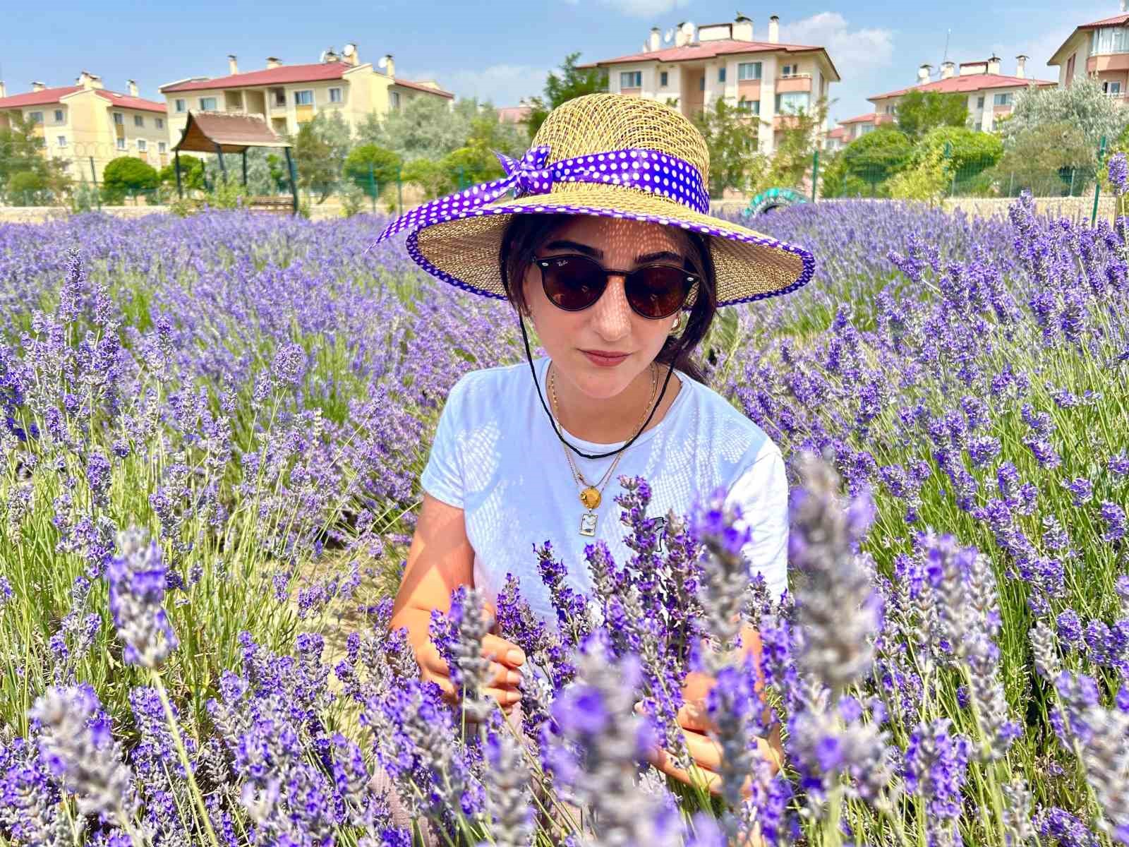 Van YYÜ’de 10 Yılda 300 Bitki Türü Toprakla Buluştu