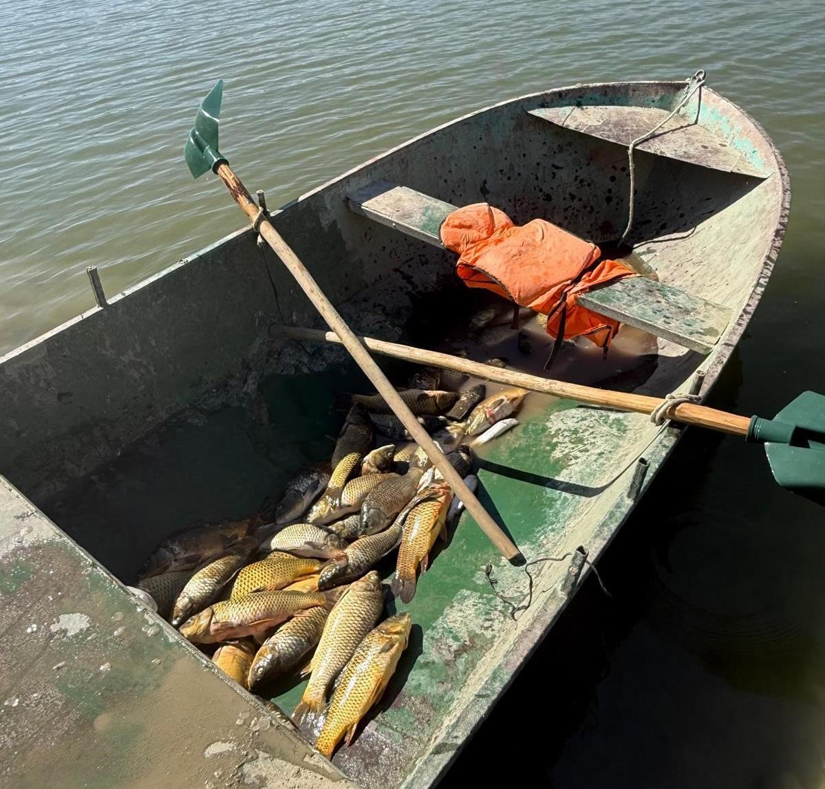 Van’da 2 Kişi Kaçak Balık Avlarken Yakalandı: 25 Bin TL Ceza