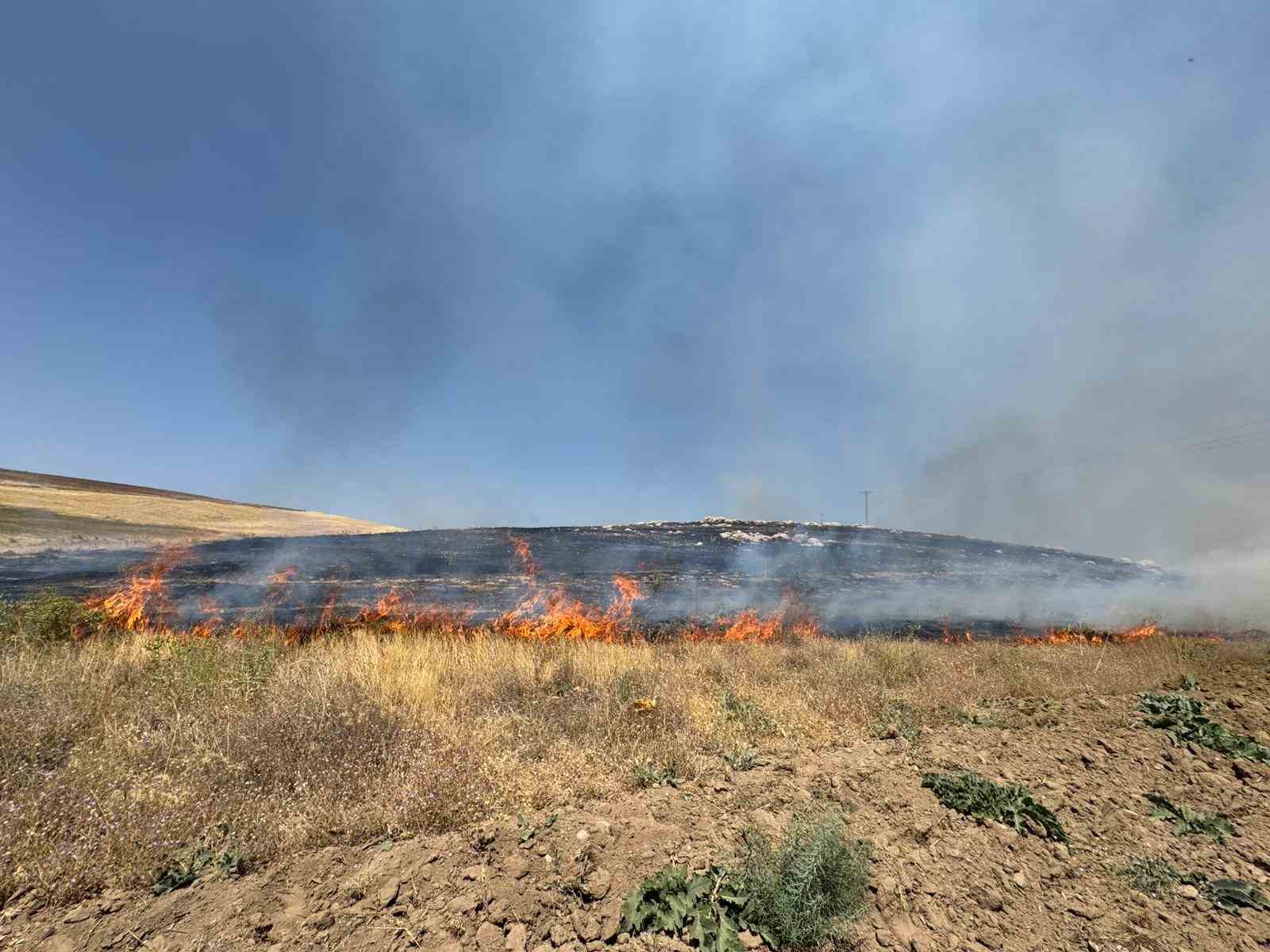 Van’da yüzlerce dönüm arazi kül oldu