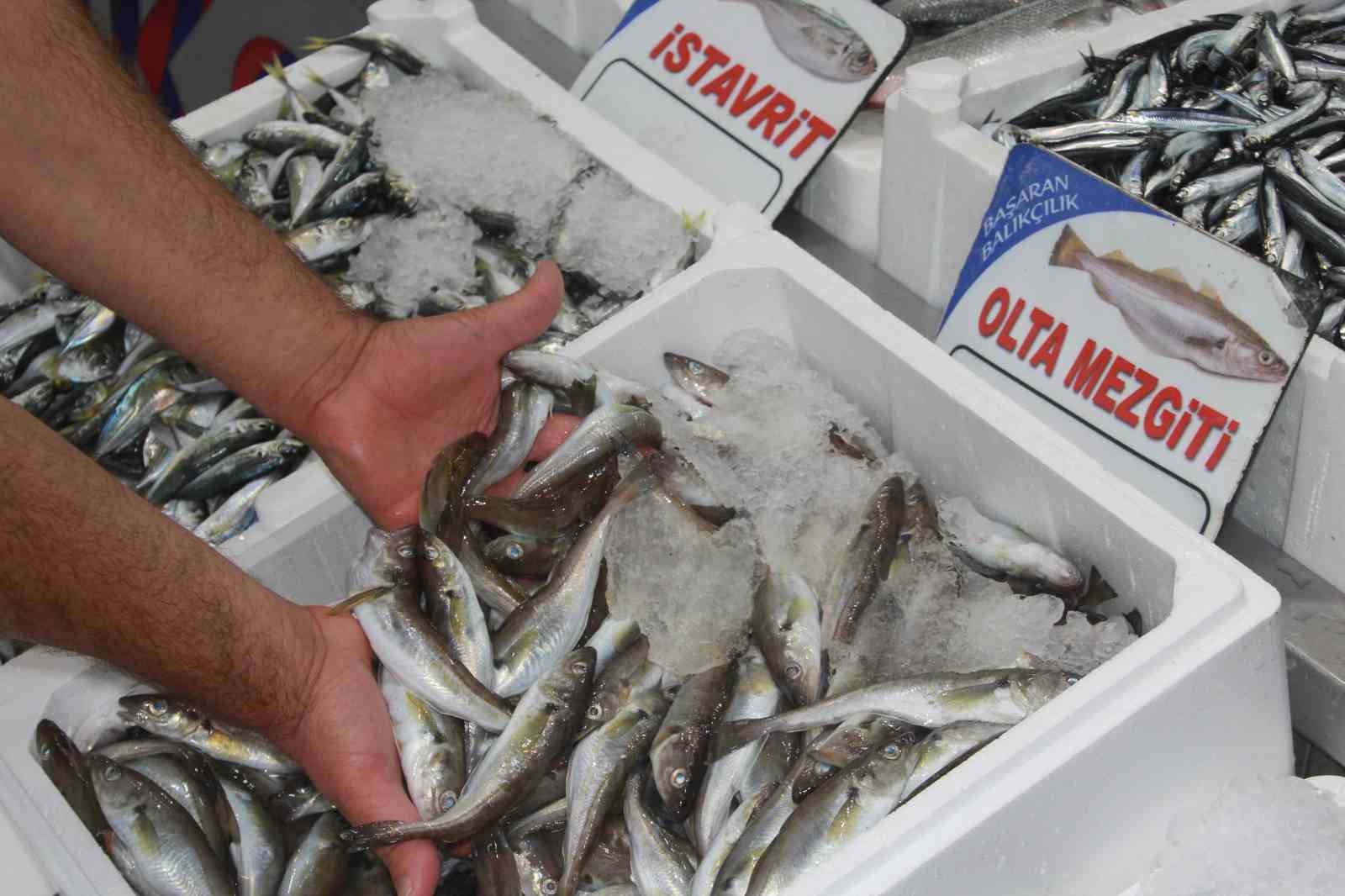 Tezgahların gözdesi ’hamsi’